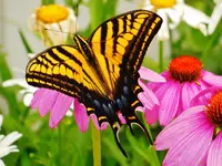 FSCN4460.webp