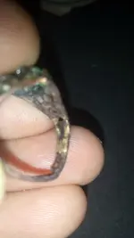 Ring2.webp