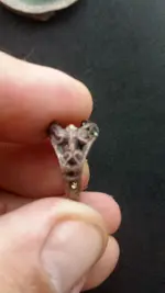 Ring3.webp