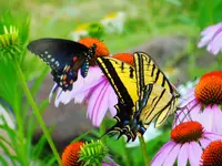 FSCN2044.webp