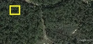 Scout View.webp