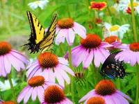 DSCN1923.webp