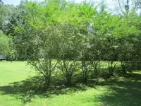 IMG_0681.webp