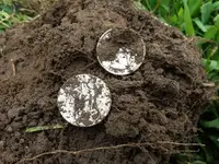 20140719_125908 2 quarters.webp