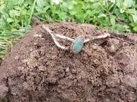 bracelet 7-14-14.webp