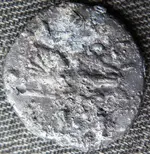 mysterycoin1.webp
