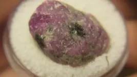125_2686.webp