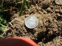 20140828_140318 seated dime at site.jpg