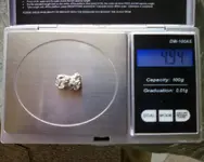 gold nugget 2.webp