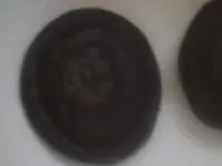 coin 1.webp