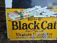 Black cat 3.webp