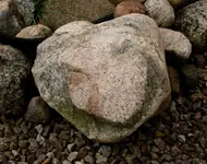heart1.webp