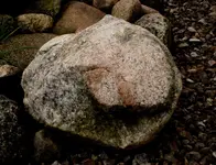heart2.webp