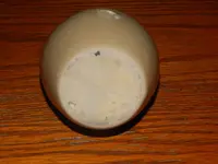 DSCN6082.webp