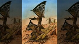 pterosaur-reptiles.jpg