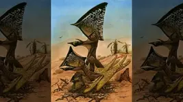 pterosaur-reptiles.webp