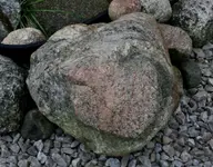 heart5.webp