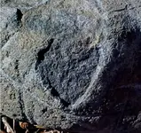 heartcarving1LGcrop.webp