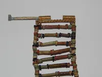 DSCN5978.webp