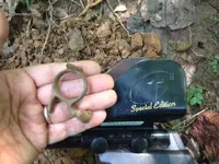 brassring (2).webp brassring (2).webp