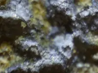 rock 003.webp