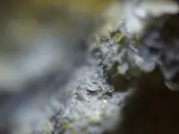 rock 004.webp