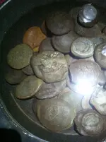 coin 9.webp