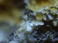 rock 005.webp