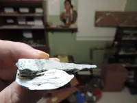 DSCN2063.webp