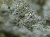 rock 007.webp
