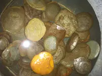 coin 10.webp