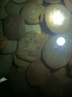 coins 4.webp