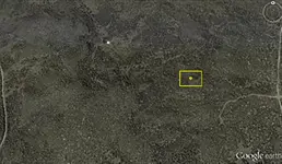ML (1) (Large).webp