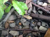 image-2736901665.webp