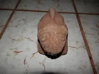 Artifacts 027.webp