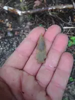 image-3972551979.webp