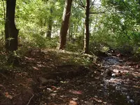 DSCF0021.webp