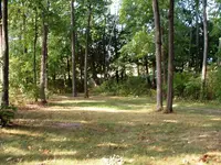 DSCF0017.webp