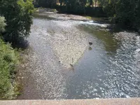 DSCN0880.webp
