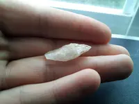 20140921_121033.webp