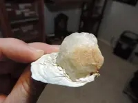 DSCN2067.webp