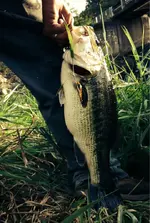 image-560480633.webp