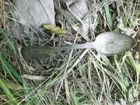 100_3307.webp