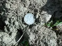 100_3311.webp