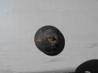 DSCF0792.webp