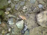 image-1350463002.webp
