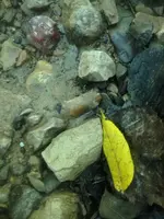 image-784964428.webp