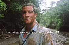Bear Grylls III.webp