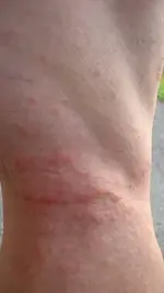 006 (281x500).webp