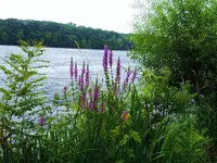 K1600_007.webp